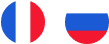 module-flag