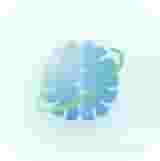 want-icon-1