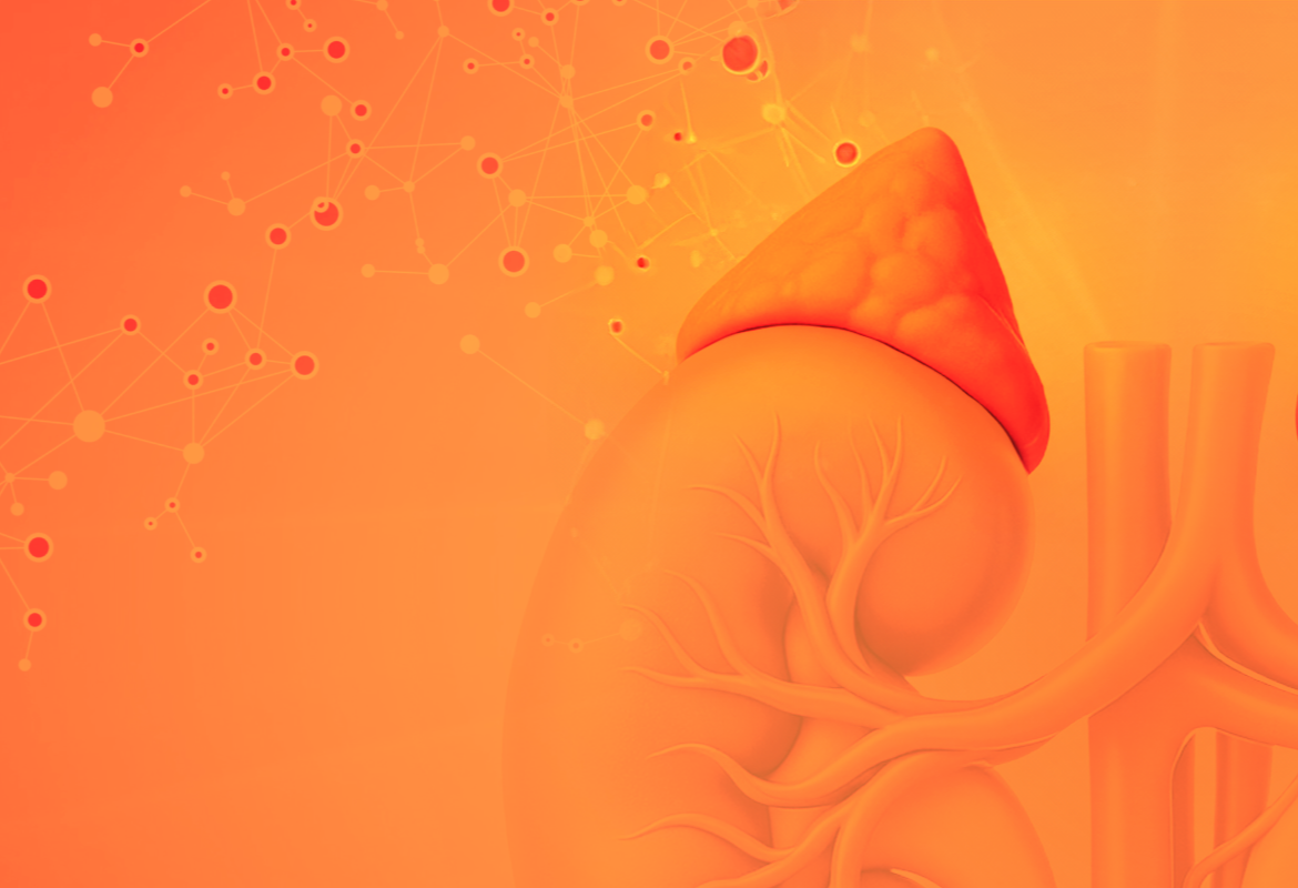 Physiopathology of the adrenal glands and hypothalamic-pituitary system. Neurotransmitters. Integrative neurophysiology. Physiopathology of degenerative diseases of the brain.